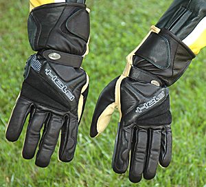 Held Steve Gloves