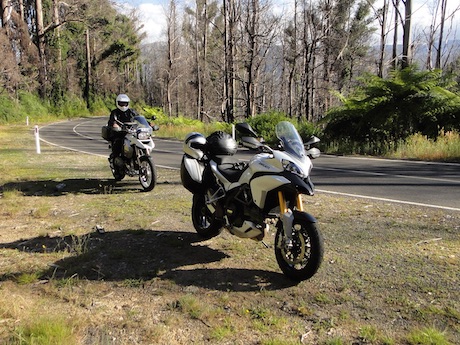 Riders on Victoria's Black Spur