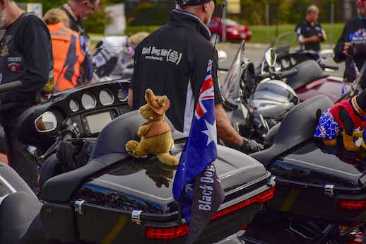 Black Dog Ride in America future