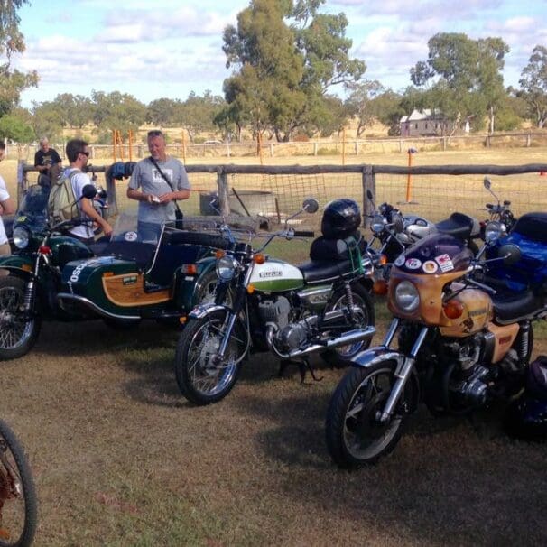 Packed program for Woolshed Classic
