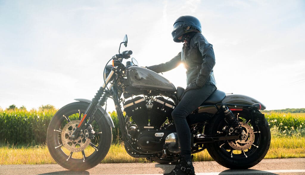2022 Harley Davidson Iron 883