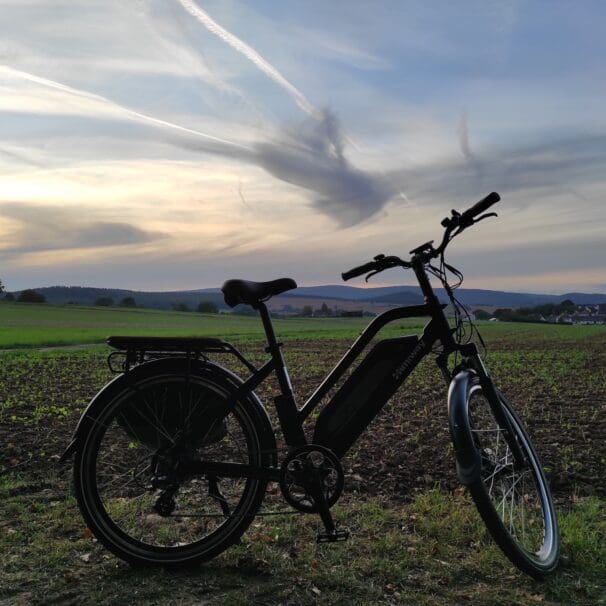 2021 Himiway City Pedelec in grassy field