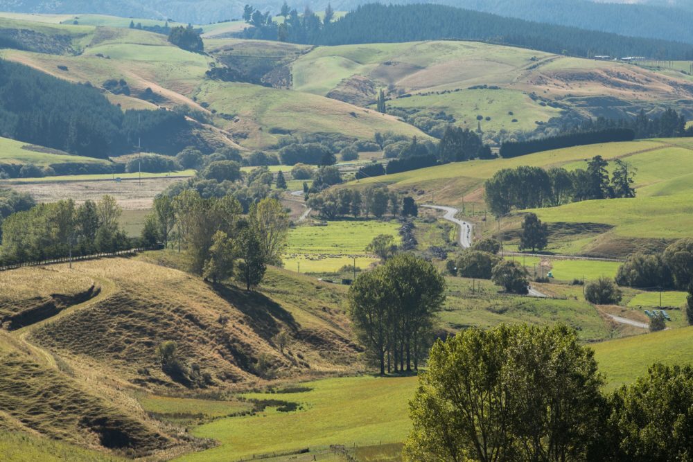 Nirvana around every corner on a Harley Iron Run Invercargill